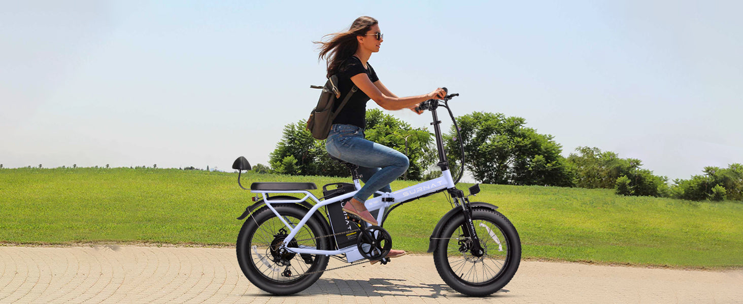 GL SURNAT S100 EBIKE Step & No Step Folding Full Suspension 48V 750W 32AH (Includes Ship)