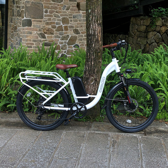 cemoto electric bicycle CEAEB40 Ebike City & Cargo step thru 48V 13AH 750W 26X2(Ship included) – EWheeler Dealer