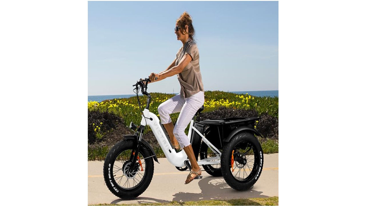 GL Dione ETrike 3-Wheeler Ebike 48V 750W 13.5 & 18AH =31.5AH Batteries 20X4 tires