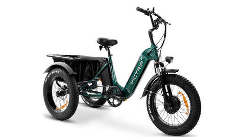 GL Dione ETrike 3-Wheeler Ebike 48V 750W 13.5 & 18AH =31.5AH Batteries 20X4 tires