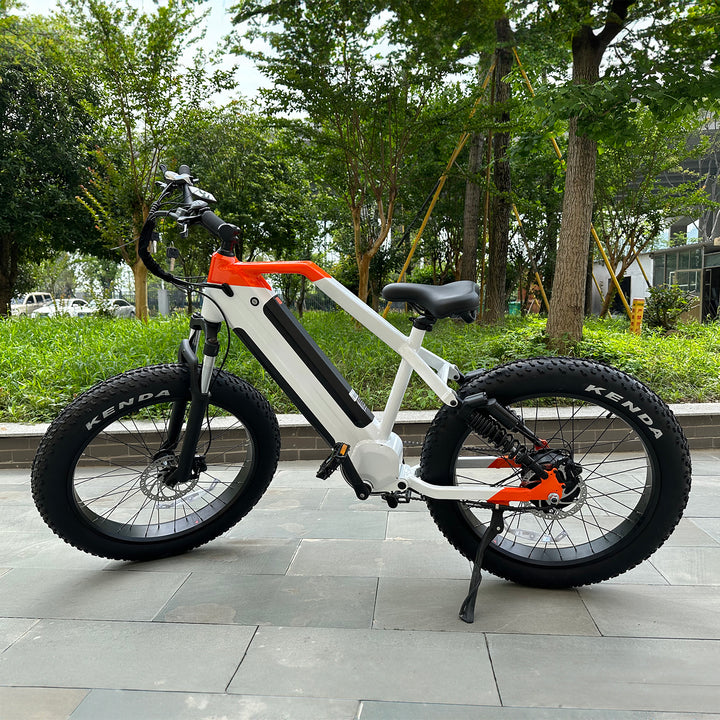 BGL ATV11 ebike UL CERT 750W 30AH dual battery Full Suspension (Shipping Included)