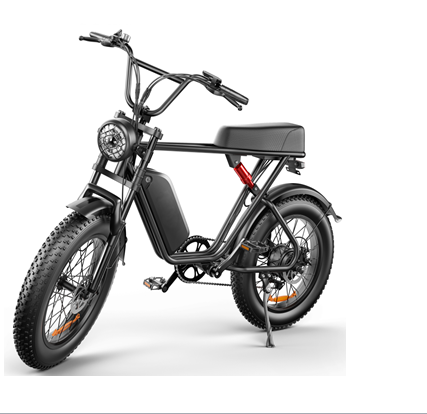 C91 Ebike - 48V 1000W 20AH Full suspension