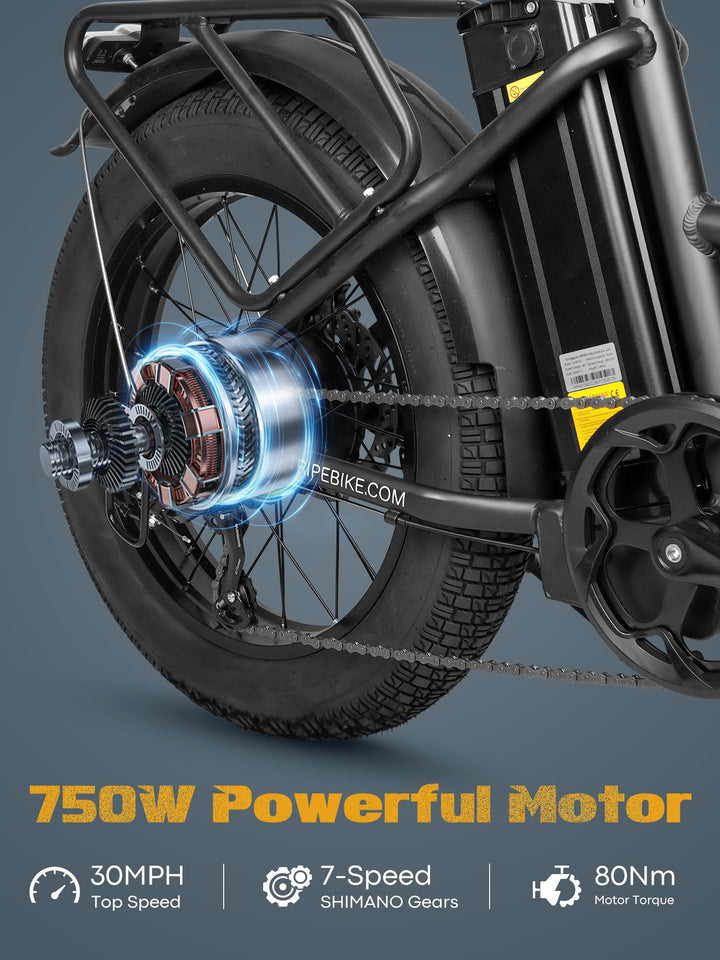 GL JANUS ES2PRO EBIKE Step & no step Folding 48V 750W 10.4AH X 2 Batteries