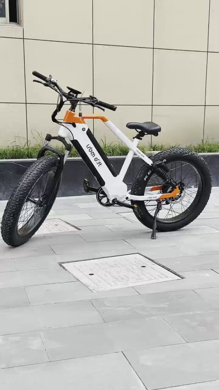 BGL ATV11 ebike UL CERT 750W 30AH dual battery Full Suspension (Shipping Included)